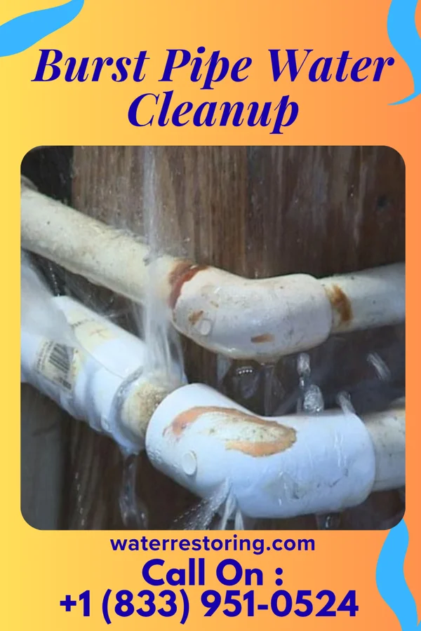 Burst Pipe Water Cleanup in Brunsville, IA