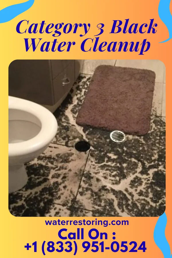 Category 3 Black Water Cleanup in Brunsville, IA