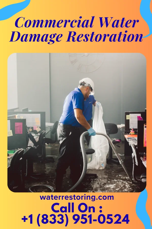 Commercial Water Damage Restoration in Brunsville, IA