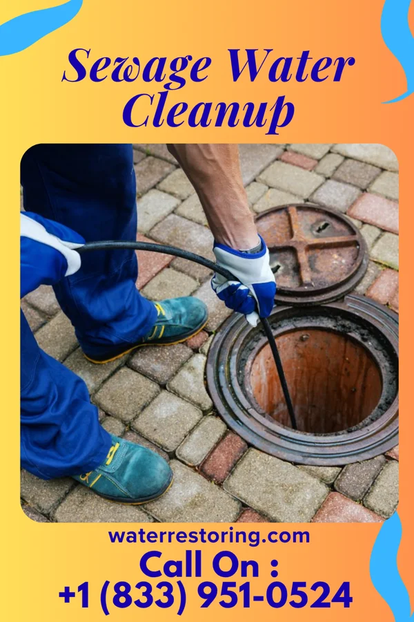 Sewage Water Cleanup in Brunsville, IA