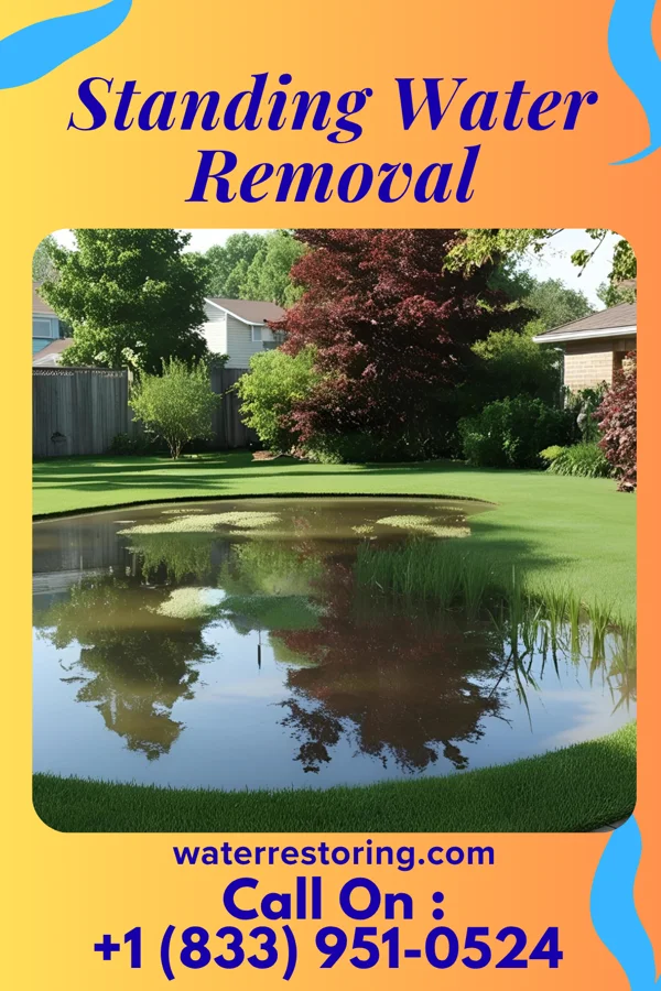 Standing Water Removal in Brunsville, IA
